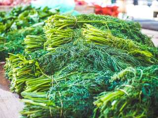 5 Health Benefits of Dill 