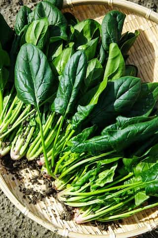8 Reasons Why You Should Not Overeat Green-Leafy Vegetables
