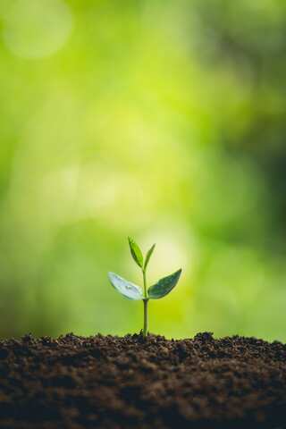 World Soil Day 2023: Date, History & Significance
