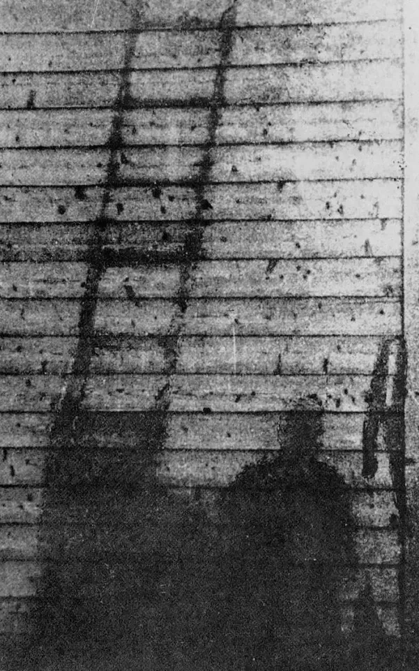 9 Scariest Images Ever Taken