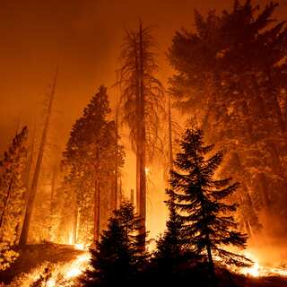 Climate Change Will Devastate These 8 Nations