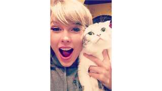 Meow-gnificent Companions: Top 10 Celebs and Their Adorable Cats!
