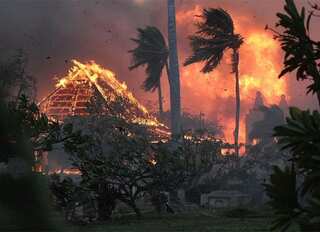 7 Celebrities Who Own Houses in Wildfire-Hit Maui  