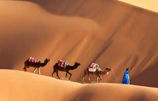 6 Famous Deserts in the World