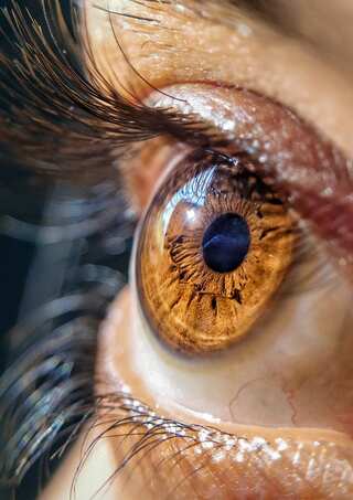 7 Nutrient-Rich Foods for Optimal Healing After LASIK Surgery