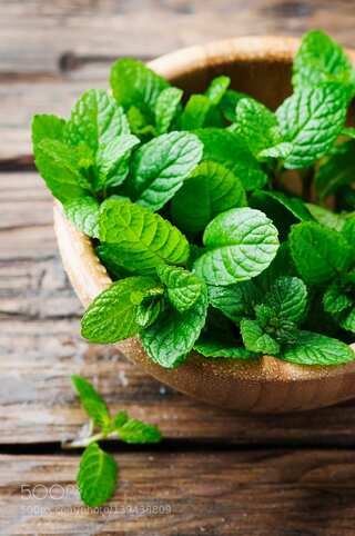 5 Indian Herbs You Can Easily Grow At Home 
