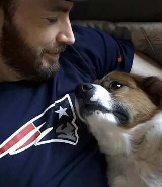  International Dog Day: Stars And Their Adopted Paw-Some Buddies 