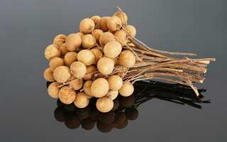 5 Health Benefits of Longan Fruit 
