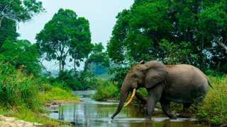 6 New Sites in UNESCO's World Heritage List