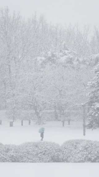 South Korea’s Seoul Records Snowiest December Day in Over 40 Years 