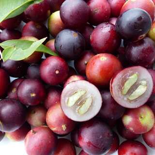 5 Health Benefits of Camu Camu