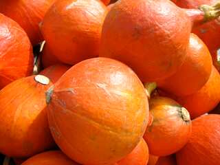 5 Health Benefits of Red Kuri Squash