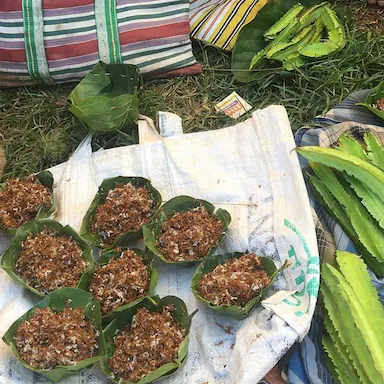 Odisha’s Unique Red Ant Chutney: All You Need to Know 