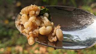 6 Reasons Why We Should Consider Eating Insects 