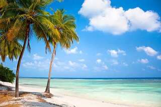 5 Must-do Activities On Your Trip To Lakshadweep
