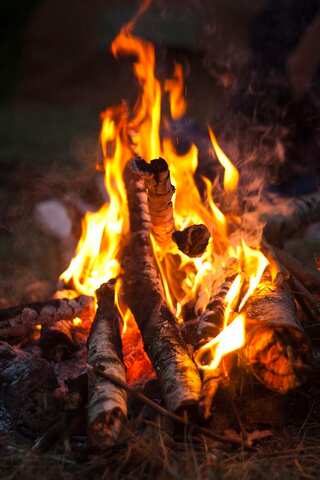 Happy Lohri 2024: Date, Significance and Traditions