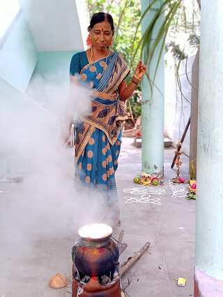 Pongal: What is the Significance of This Festival in South India? 