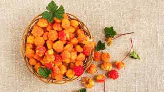 5 Health Benefits of Cloudberries