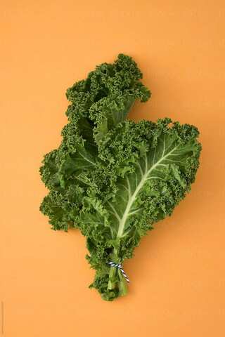 6 Health Benefits of Kale 
