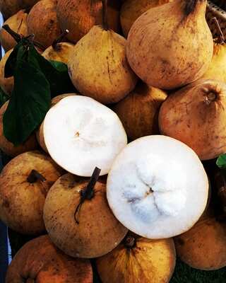 5 Health Benefits of Santol Fruit