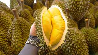 5 Health Benefits of Durian