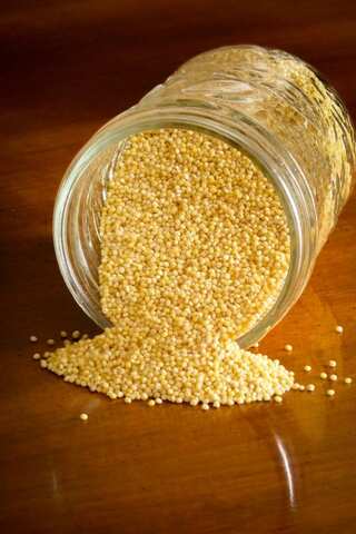 6 Benefits of Millet for Fatty Liver
