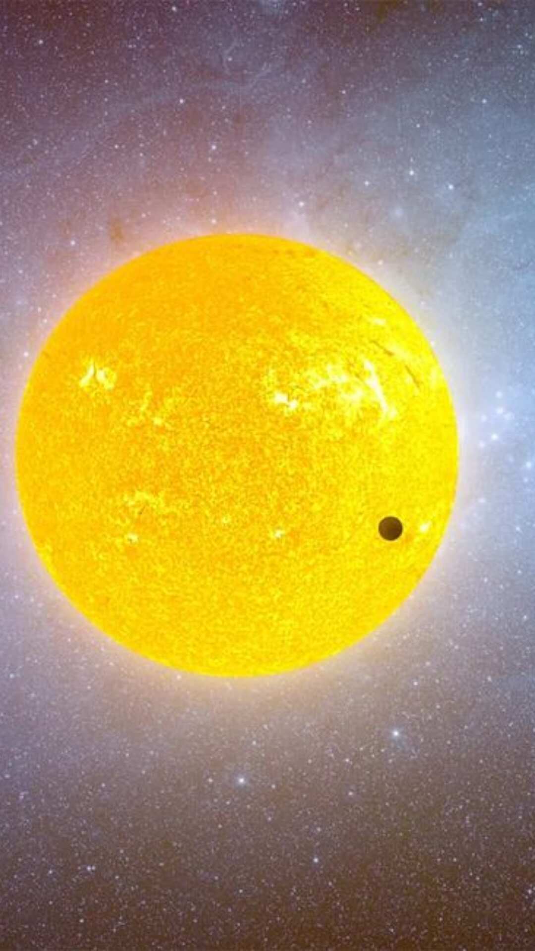 1705835718894_Forwebstories7.