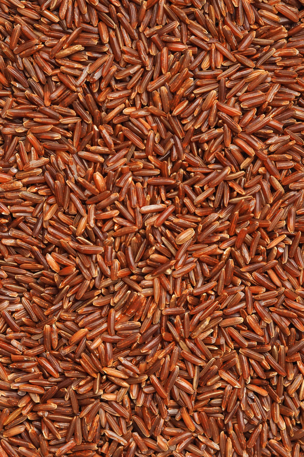 6 Health Benefits of Eating Red Rice
