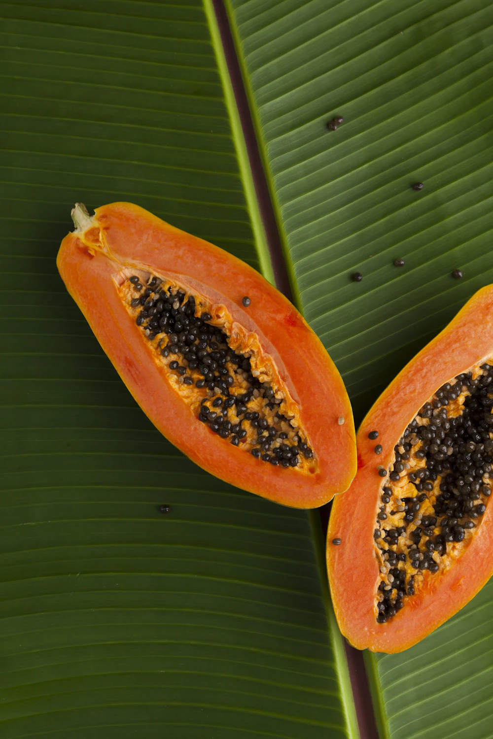 6 Benefits of Eating Papaya in Winter