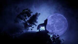 Wolf Moon to Shine Tonight: All You Need to Know 