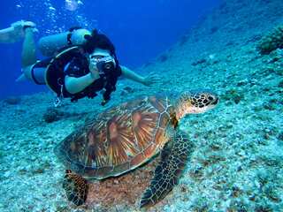 7 Of The Most Spectacular Underwater Destinations on Earth