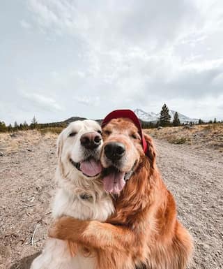 The Amazing Benefits of Hugs 