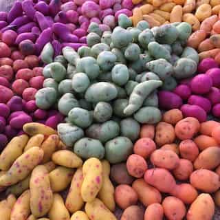 5 Health Benefits of Root Crop Ulluco