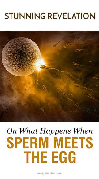 6 Reasons for Infertility in Men 
