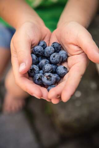 6 Amazing Skin Benefits of Eating Blueberries 