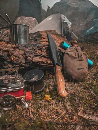 7 Survival Skills Everyone Should Know 