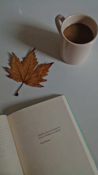 Must Read Books in Your 20s to Enhance Your Mindset  