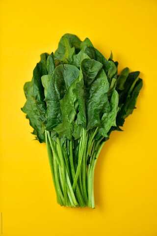 5 Healthy Leafy Vegetables to Eat This Winter

