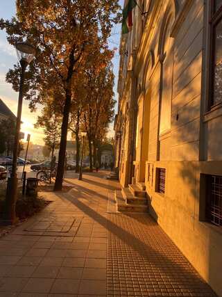 The Power of Morning Walks: Why is it a Must for Everyone