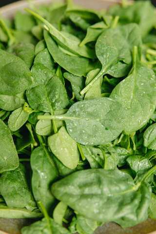 5 Immunity-Boosting Breakfast Foods for a Healthy Start
