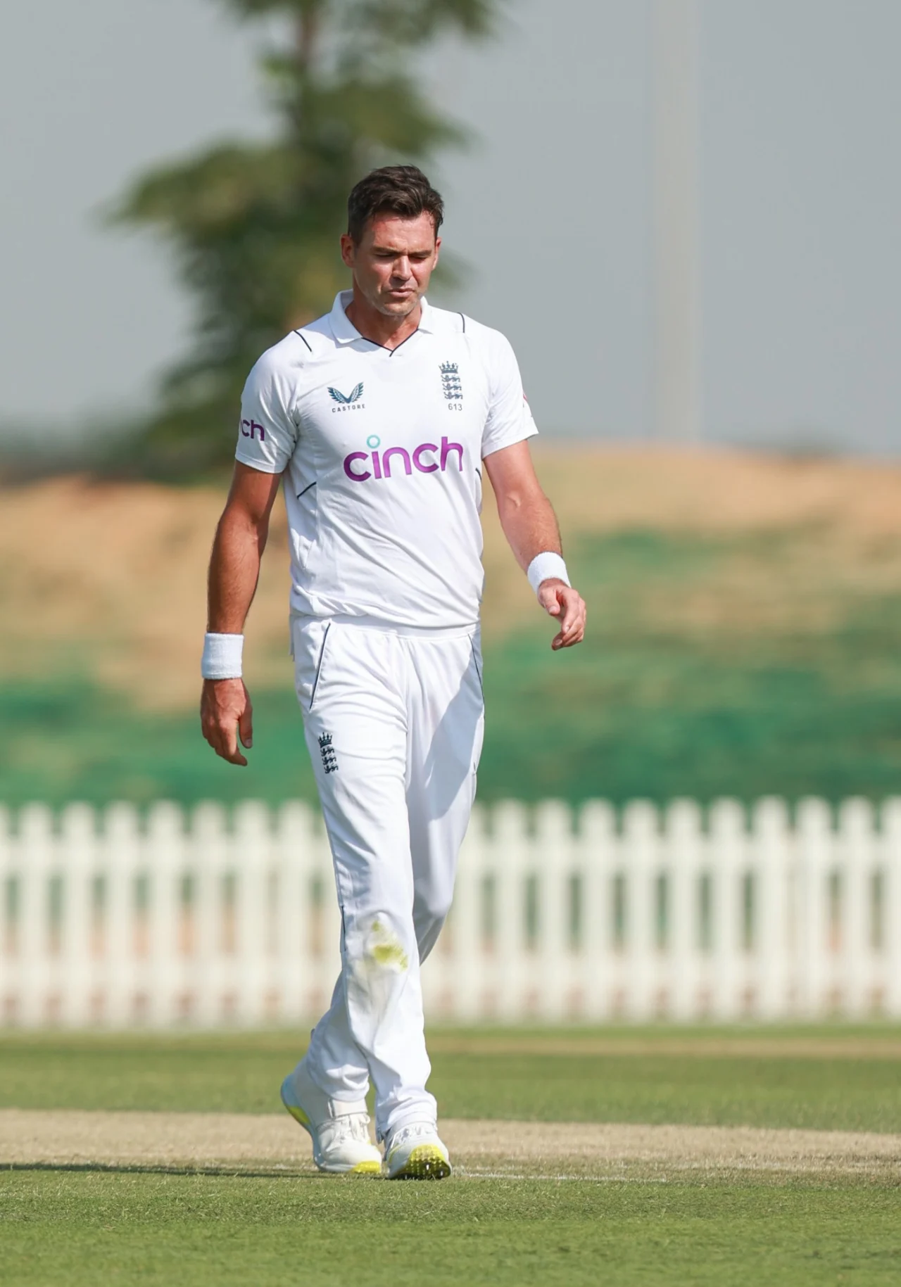 Most Wickets In Test Wins