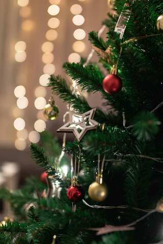 Christmas 2024: Quotes to Share with Loved Ones