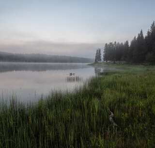 World Wetlands Day: 5 Must-Visit Wetlands in India