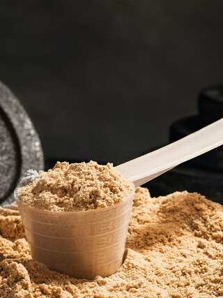 Animal Protein vs Plant Protein, Which is Better?