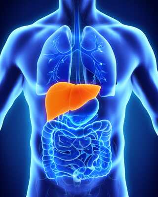 Dos and Don’ts for Preventing Fatty Liver
