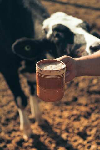 6 Health Benefits of Drinking 
Cow Milk