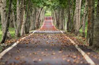 7 Countries Where Indian Driving License Is Valid