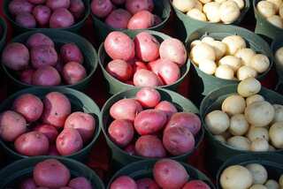Red Potatoes vs White Potatoes: Difference and Health Benefits