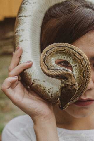 6 Biggest Snakes Known to Man