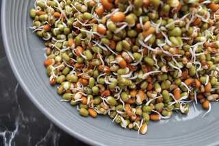 7 Ways to Eat Sprouts, as per 
Ayurveda
